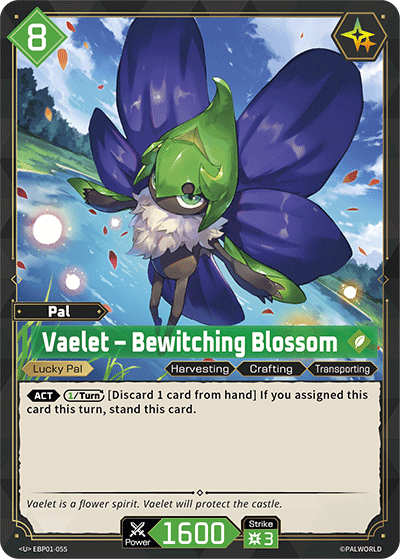 Vaelet – Bewitching Blossom