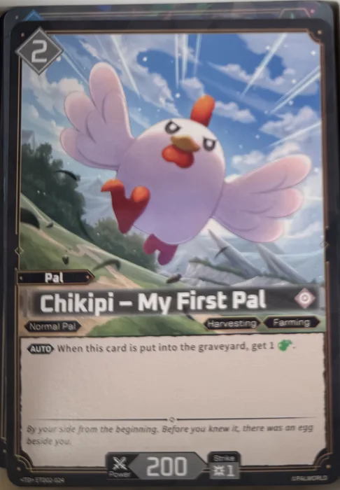Chikipi – My First Pal