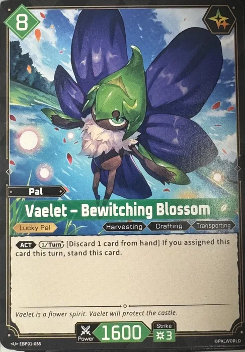 Vaelet – Bewitching Blossom